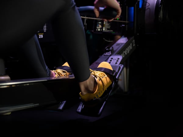 Row Workouts in Wesley Chapel, FL